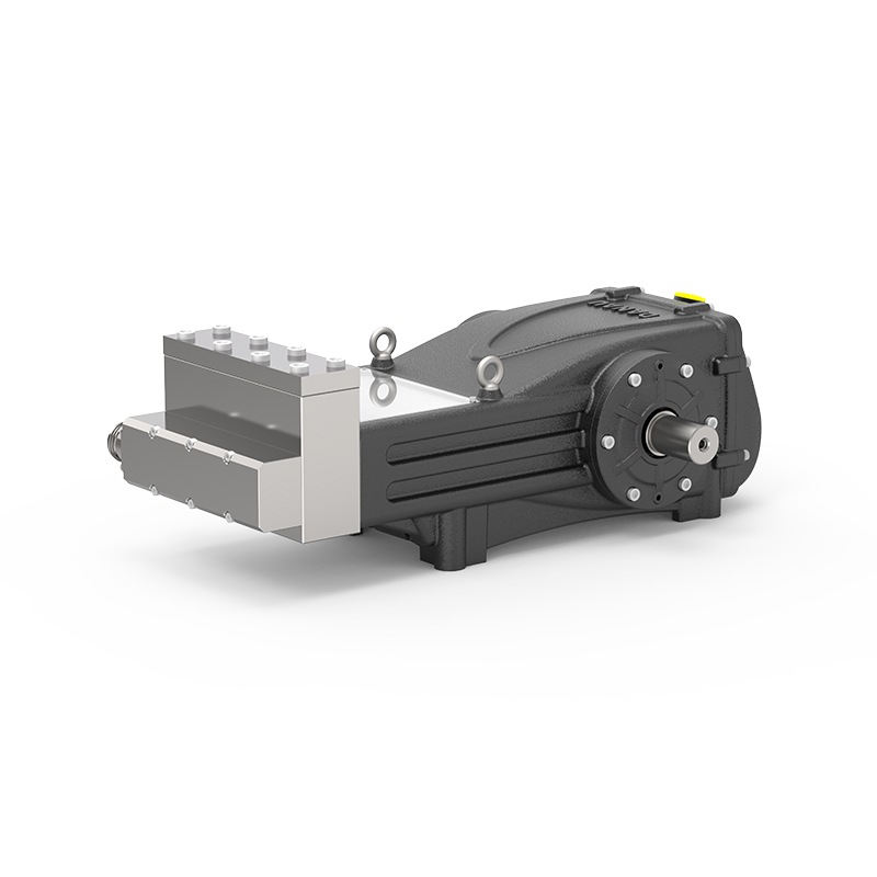 Industrielle Kolbenpumpe der DBS-Serie Industrielle Kolbenpumpe der DBS-Serie