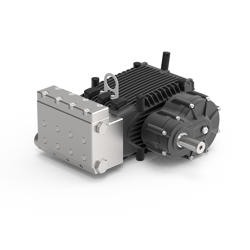 Industrielle Kolbenpumpe der DBG-Serie