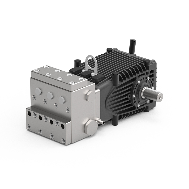 Industrielle Kolbenpumpe der DBH-Serie